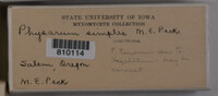 Image Associated With the Occurence